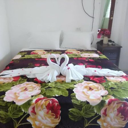 Matus Guest House سان إجناسيو المظهر الخارجي الصورة